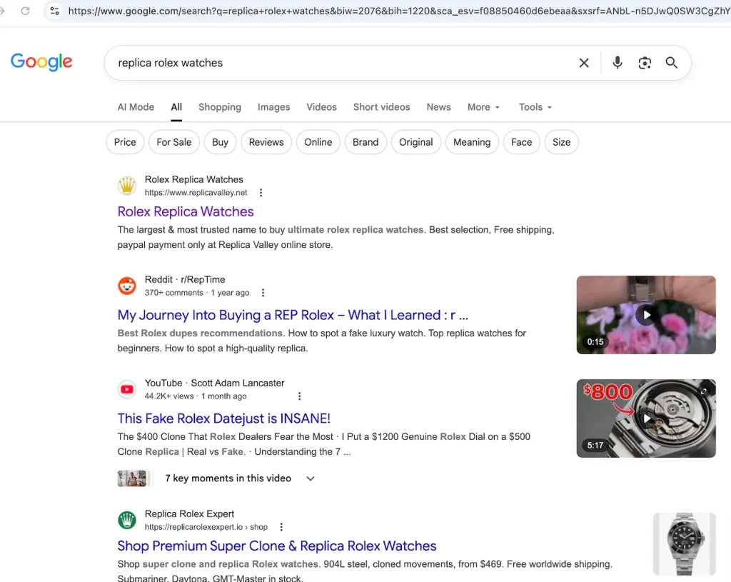 仿牌独立站谷歌搜索数据查询与分析截图